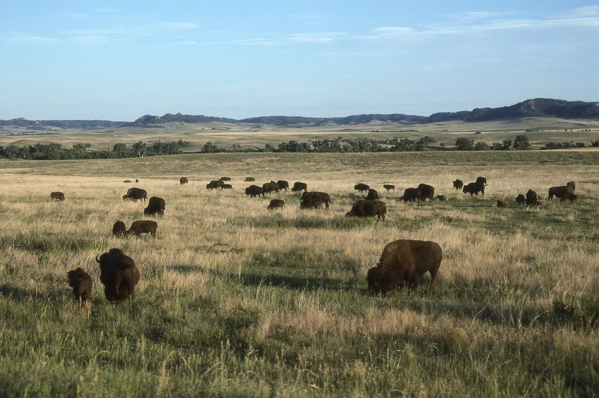 Nebraska prairie landscape representing homeschool freedom in the Cornhusker State